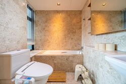 Soleil @ Sinaran (D11), Condominium #446823291
